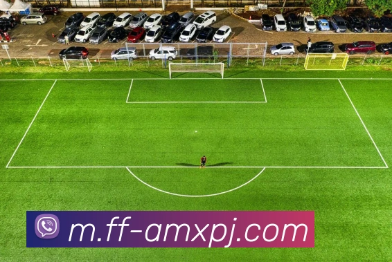 多媒体互动体验